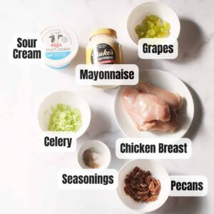 %fChicken Salad with Grapes %